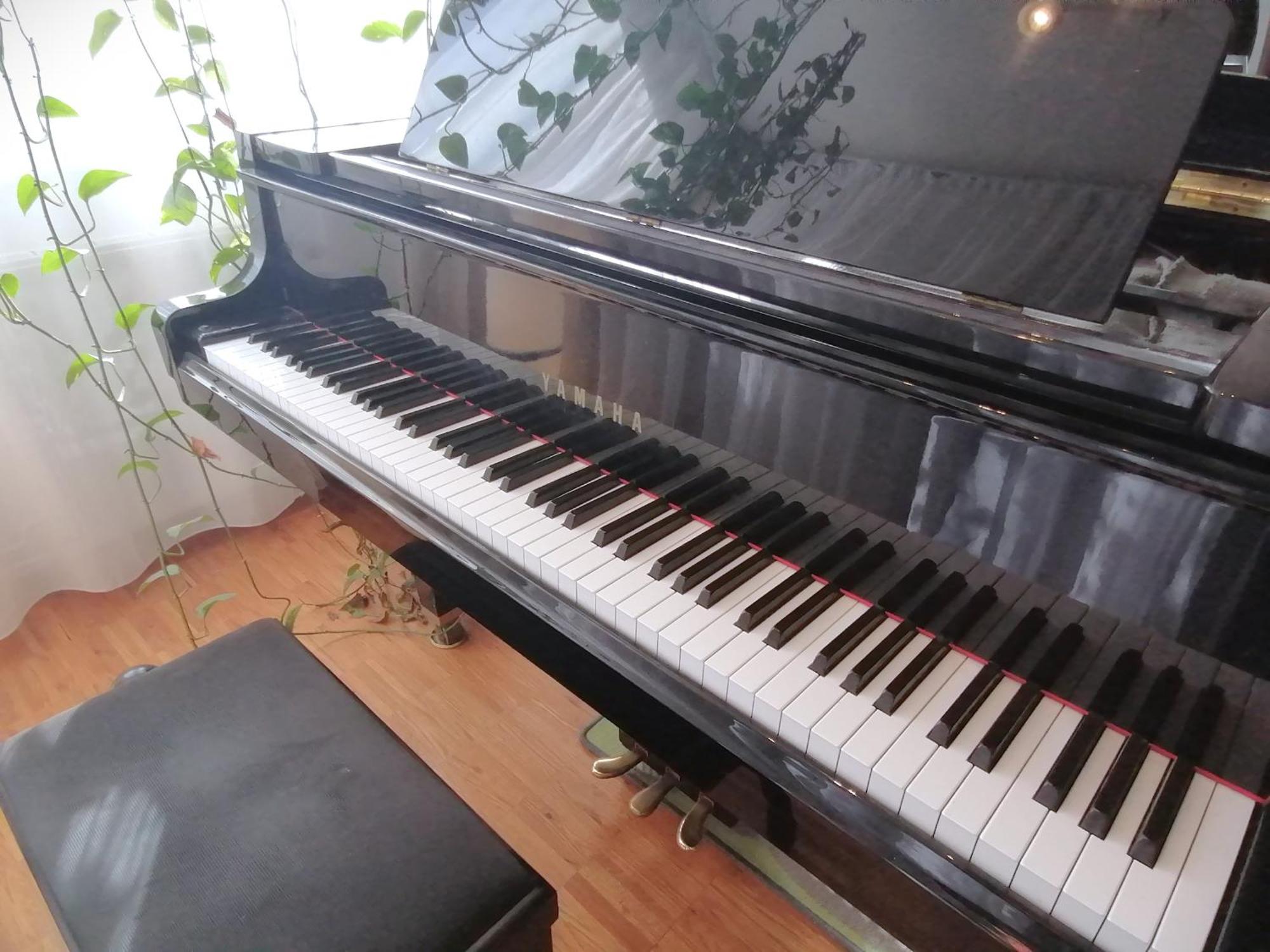 Lovely Flat With Grand Piano, Family Friendly *